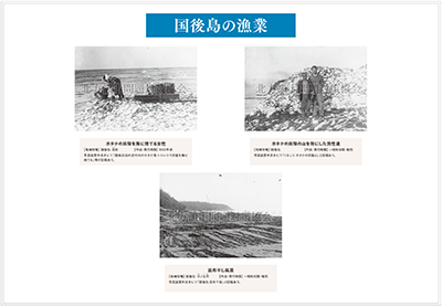 国後島の漁業サムネイル